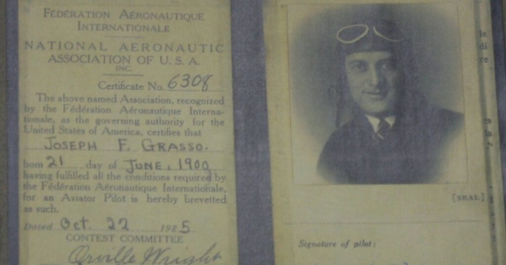 pilot licence