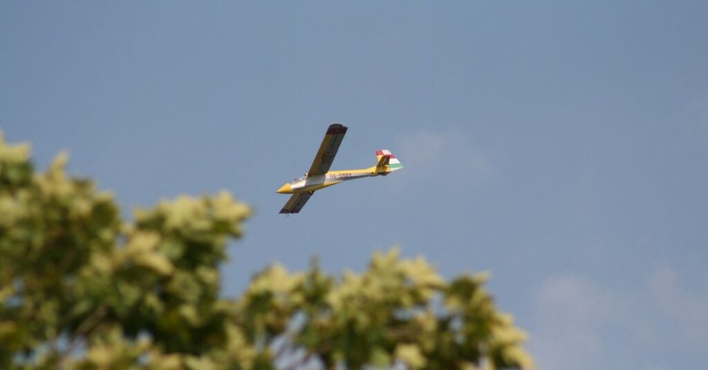 sailplane and trees